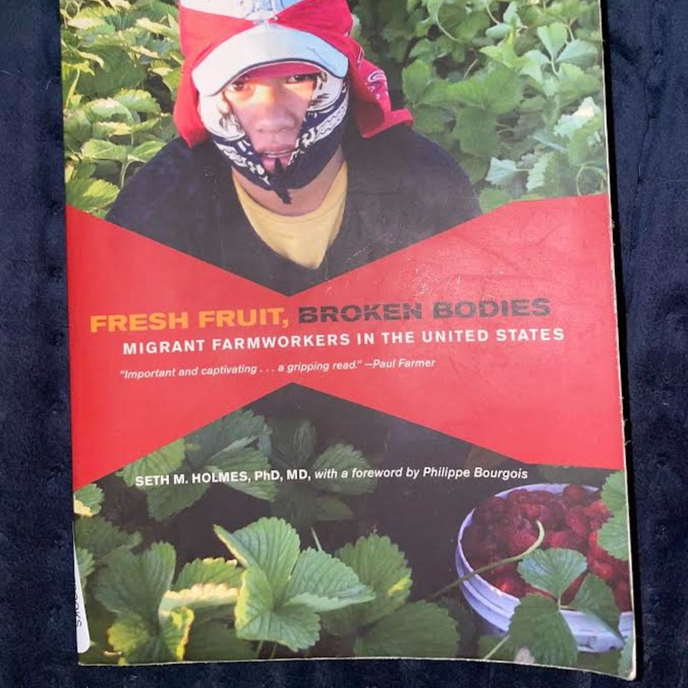 Fresh Fruit Broken Bodies - Good condition